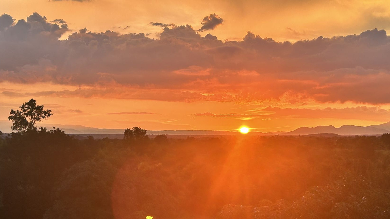 A Long-Awaited Trip to Pignon