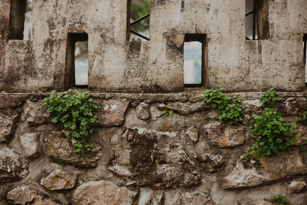 Community Care + Self-Care in a time of Social Distancing