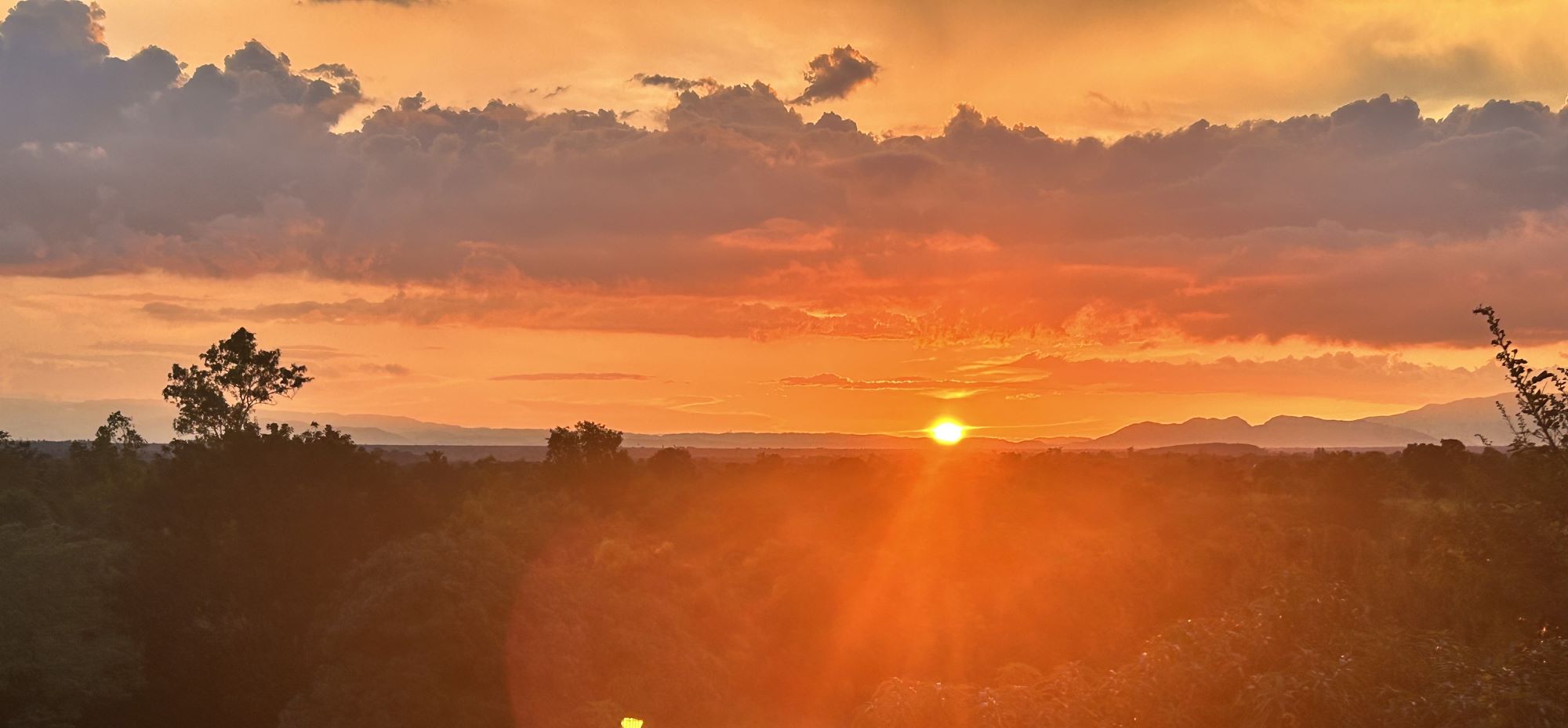 A Long-Awaited Trip to Pignon